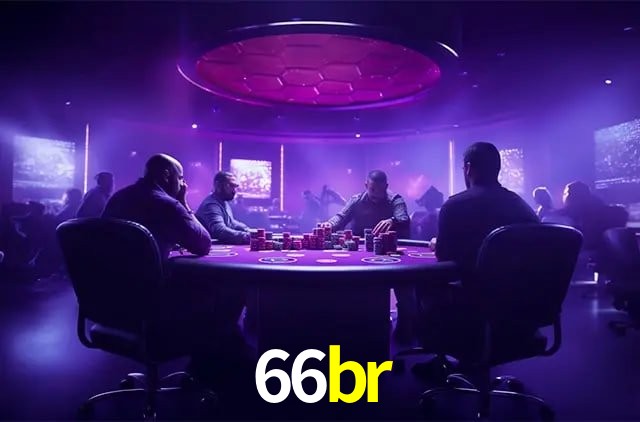 Experiência VIP 66br