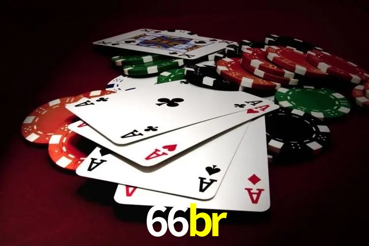 Programa VIP 66br