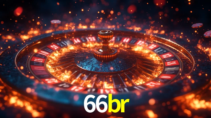 Premium Interface 66br